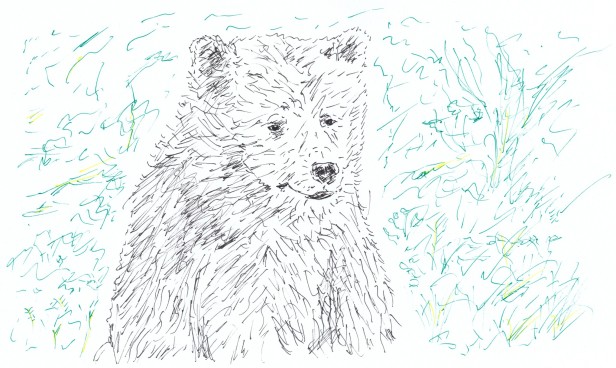 Jungle Book sketch - Baloo - S